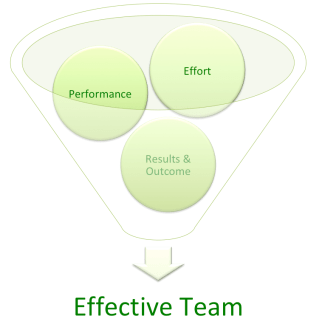 Effective Team